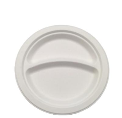 China 600pcs/Carton 9inch Paper Plates Round Sugar Cane Bagasse Tableware Minimalist Food Retail Disposable Biodegradable Tray for sale