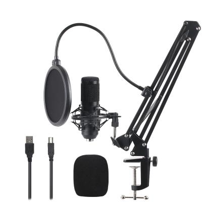 China 192kHZ/24bit USB Microphone BM-800 USB Podcast Condenser Microphone with Boom Arm for Broadcasting, Recording for sale