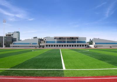 중국 전문가 40mm 분야 녹색 축구 합성 잔디 인공적인 잔디 Y40E 판매용