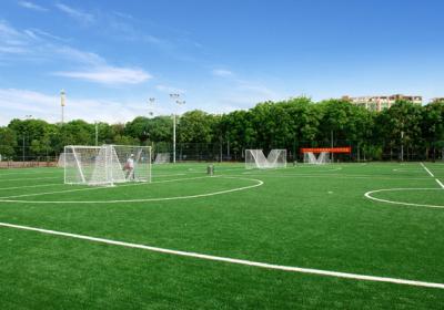 China High Performance Rugby Artificial Turf Non - Infill Artificial Cricket Pitch No Pollution for sale