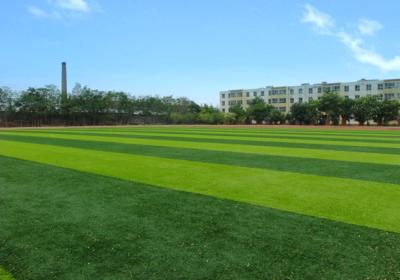 China High Performance Sports Artificial Turf Fake Lawn 30mm Pile Soft Comfortable for sale