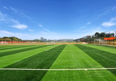 China Smooth Beautiful Artificial Grass Mat , High Performance Non - Infill Fake Grass Rug for sale