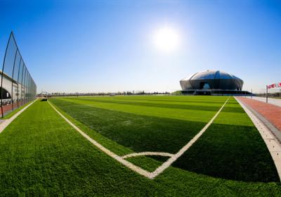 China Het Gras Synthetische Gras van de SchoolLandscapings Waterdichte Anti van het Kunstmatige Voetbal - Schimmel Te koop