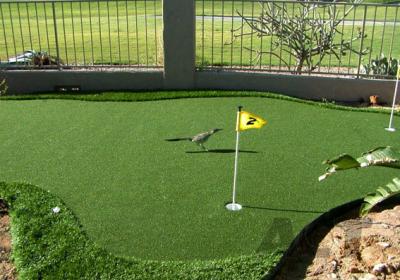 China Comfortable Indoor Golf Putting Green , PE Curly Monofilament Synthetic Golf Greens for sale