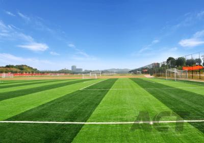 China Van het de Voetbal Synthetische Gras van het Professional 40mmgebied het Groene Kunstmatige Gras Y40EA Te koop