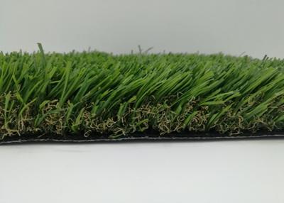 China Landscaping Garden Multifunctional Artificial Grass PE + PP Monofilament Anti - Slip for sale