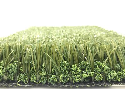 China ECO GRASS, High Performance Non-Infilled Football Artificial Grass Soccer Field Y30-RS for sale