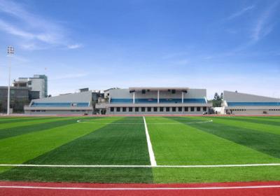 Cina Tappeto di plastica di superficie dell'erba del bene durevole per la decorazione del balcone, coperta fibrillata dell'erba del Faux di calcio in vendita