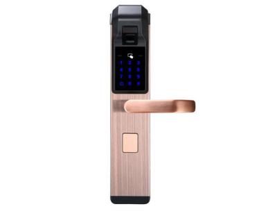 China Competitive Price Zinc Alloy Fingerprint Door Lock With M1 Card For House Apartment for sale