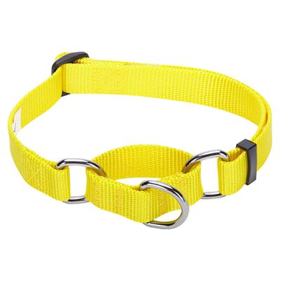 China Wholesale Pet Safety Training Padded Dog Collars Personalized Dog Collars for Small Animals, Dogs and Cats for sale