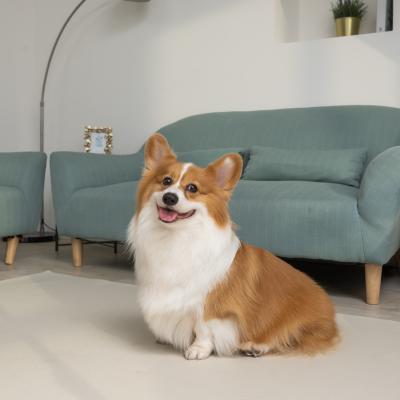 China Viable Anti-Slip Sofa Floor Pad for Puppy for sale