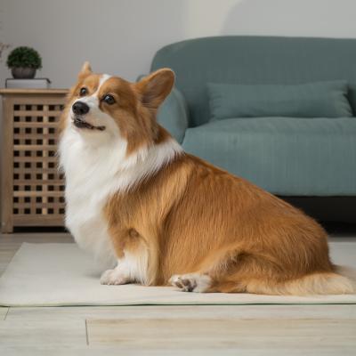 China Viable Anti-Slip Sofa Floor Mat for Puppy for sale