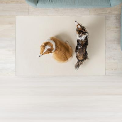 China Durable Anti-Slip Sofa Floor Mat For Pet for sale