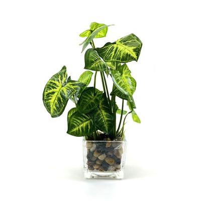 China Modern Manufacturer Wholesale Green Plastic Glass Artificial Potted Plant For Garden Decor for sale