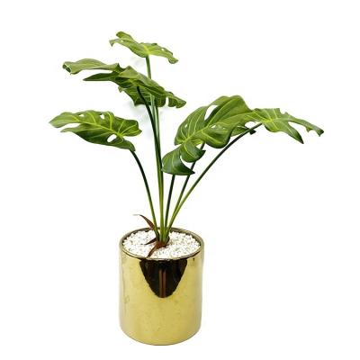 China Hot Sale Modern Artificial Almost Natural Plastic Greenery Bonsai Plants Professional Indoor Decorative for sale