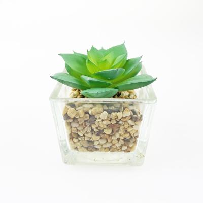 China Newest Minimalist High Quality Artificial Plant Small Artificial Succulent Potted Plants In Glass Pot for sale