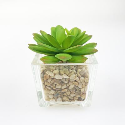 China Hot Minimalist Succulents Factory Wholesale Fake Bonsai Plants Artificial Plants Manufacturer Glass Jar for sale