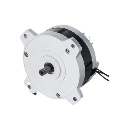 China 36v 48v 220v 800w 100mm totally enclosed brushless brushless motor for garden tool for sale