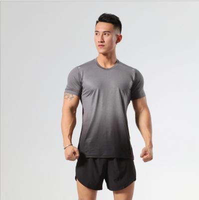 China Wholesale Custom Made Polyester T Shirt Men's Fitness Running Gym Summer Sport Breathable Shirts for sale