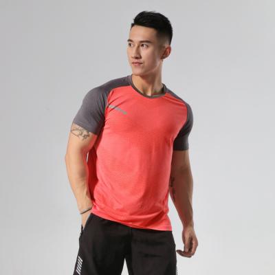 China Anti-Wrinkle Muscle Fit Soccer Fitness Summer Gym Shirt Plus Size T-shirts Sweat Mens Shirts for sale