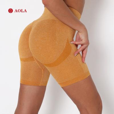 China Breathable Active Wholesale Women's Fitness Yoga Pants Muticolor Gym Wear Gym Wear AOLA Tight Biker Shorts for sale