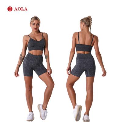 China AOLA Yoga Clothing Set Women Fitness Breathable Two Piece Gym Sportswear Set Custom Made Yoga Running Gaiters for sale