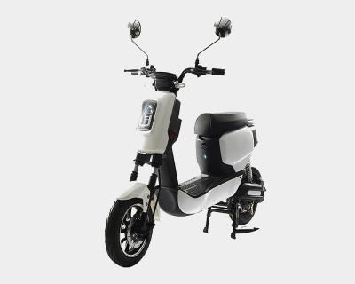 China Super Fat Powered Electric E Scooter Enduro ebike 48V 1000W Motorcycle Standard Tire Adults for sale