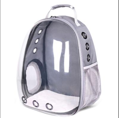 China New Design Airline Capsule Dog Backpack Pet Carrier Approved Viable Wholesale Bulk Plastic Dog Cat Bag for sale