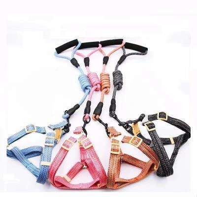 China Light up the most popular color is various, strong and durable pet leash super durable for sale