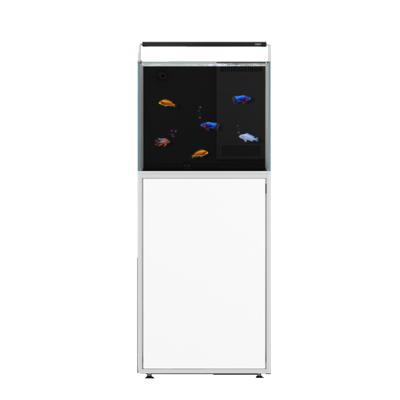 China Custom wholesale CADE glass viable, ultra-quiet non-changing small commercial home acrylic fish tank fish tank for sale