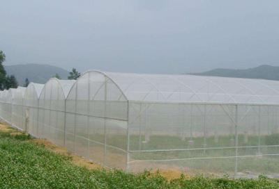 China Anti Drip 200mic Horticultural Plastic Film Plastic Greenhouse Cover for sale