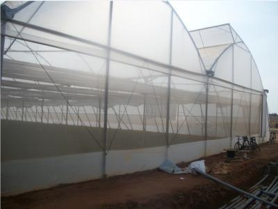 China 4m-10m Horticultural Plastic Film For Greenhouse Protective for sale