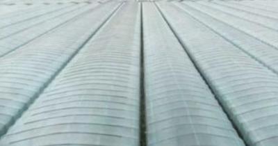 China 6 Mil HDPE Greenhouse Plastic Film Clear Polyethylene Cover Uv Resistant for sale