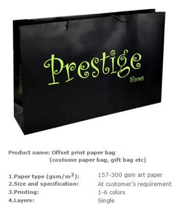 China Nice Design Paper Shopping Bag , Recycle / Environmental Luxury Shopping Paper Bag , Raw Material Gift Kraft Paper for sale