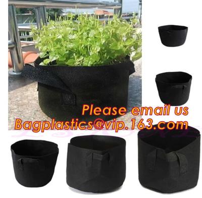 China fabric pots grow bag felt garden bag with handle,Hydroponic Grow Bag 1 Gallon Containers With Handle,Eco-friendly High q for sale