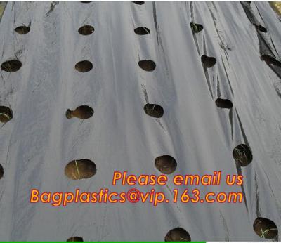 China Perforated plastic mulch film save drilling troubles,perforated agricultural plastic mulch film,perforated white/black m for sale