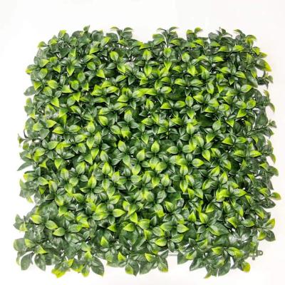 China UV Proof Indoor Outdoor Grass Tile Plastic Grass Hedge Fencing Privacy Plant Decorative Wall for sale