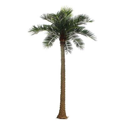 China Weatherproof UV Proof Large Fiberglass Palm Proof Artificial Tree For Outdoor for sale