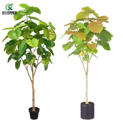 China Fiddle Leaf Homey Decoration Nearly Fake Indoor Plastic Natural Plant Ficus Common Fig For Indoor Ornament for sale