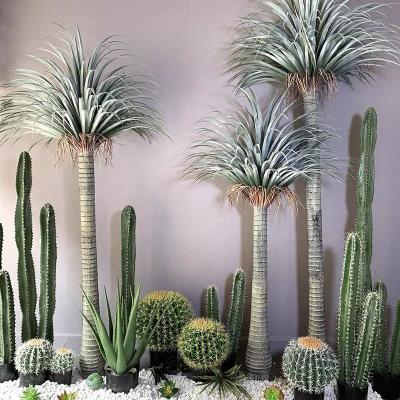 China New Garden Decoration Faux Dracaena Plant Design Dragon Tree Real Touch Home Indoor Plants for sale