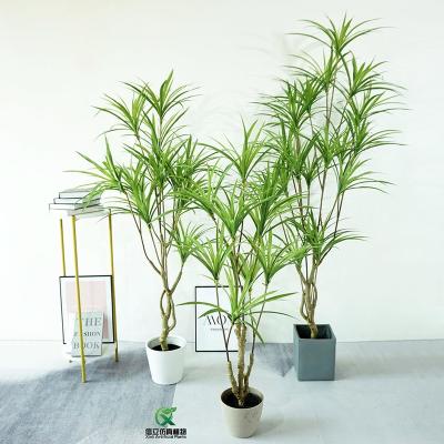 China Garden Decoration Faux Comosum Plant Spider Artificial Yucca Basket Plant For Event Shop Home Decoration for sale