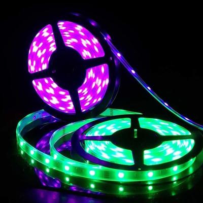 China Theme park 2 years warranty Epistar RGB led strips 5060 24v for sale