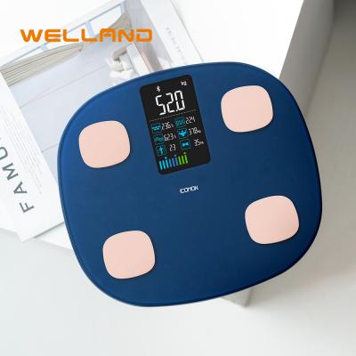 China Heart Rate Electronic Fat Measurement Tempered Weight Body Fat Glass Smart Scale 180kg/400lb/28st for sale