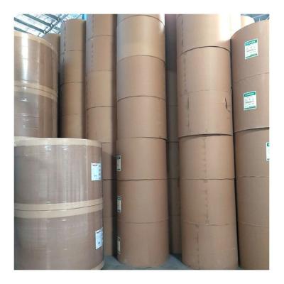 China Factory Price Moisture Proof Hot Selling All Size FBB Thick Ivory Cardboard Gray Back Duplex Paper Board for sale