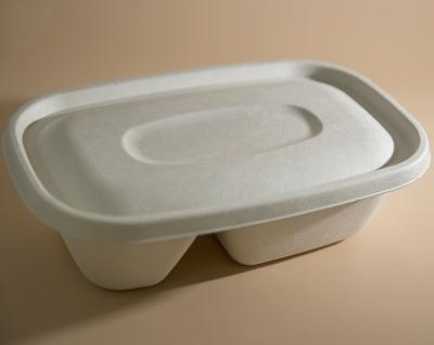 China Biodegradable Food Packaging 2 Compartment Disposable Bento Box Takeout Box for sale