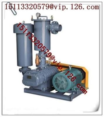 China China Central Conveying System Double Stage Vacuum Blower Manufacturer for sale