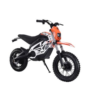 China 2020 new street/road legal 800W 2 wheel electric scooter dirtbike adult style for sale