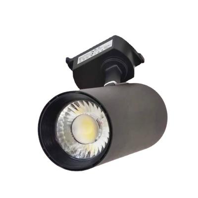 China Customized High Quality 12W20W30W Residential Led Anti-glare COB No Flickering For Clothing Store Pathway Lights Track Lights for sale