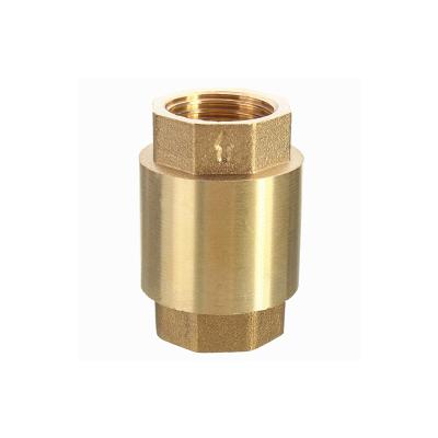 China Supplier One General Valve Check Valve Brass Spring Spring Vertical Check Valve for sale