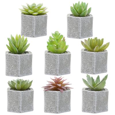 China Lorenda DRSN001 Cement Flower Pot Contemporary Mini Potted Stems Decor Plastic Artificial Succulent Plants Decoration for sale